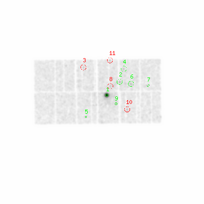 pn smooth0hcl image