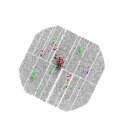 pn smooth0hcl image