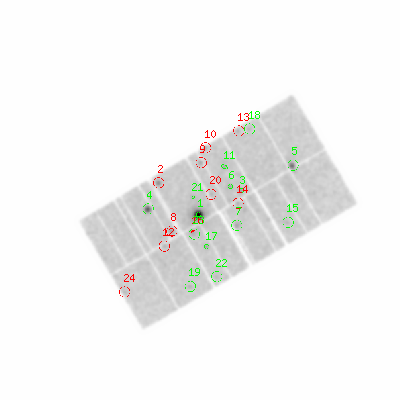 pn smooth0hcl image