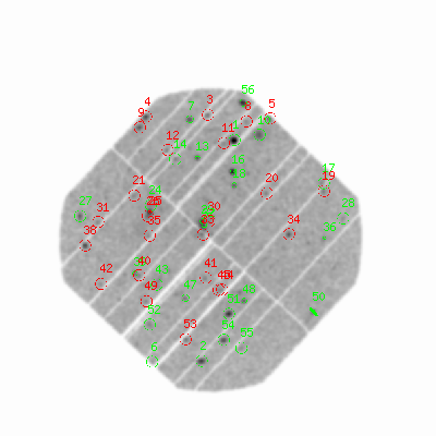 pn smooth0hcl image