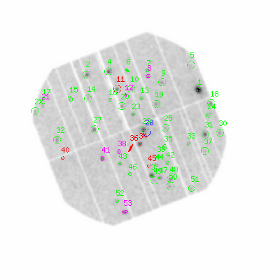 pn smooth0hcl image