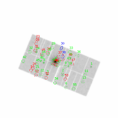 pn smooth0hcl image