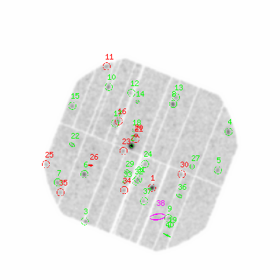 pn smooth0hcl image