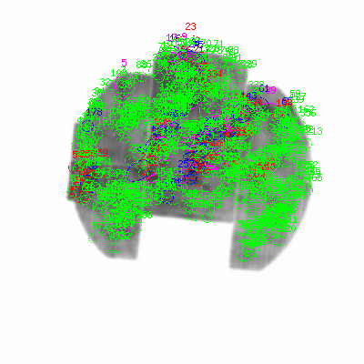 mos1 smooth0hcl image