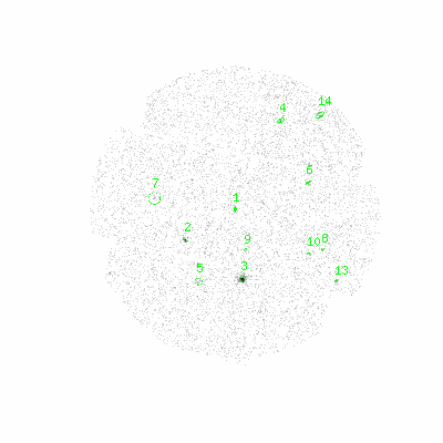 mos2 fullimagehcl image