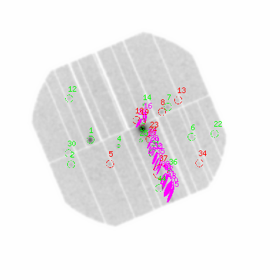 pn smooth0hcl image