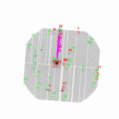 pn smooth0hcl image