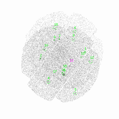 mos2 fullimagehcl image