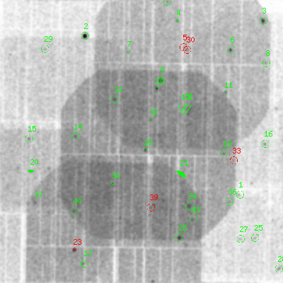 pn smooth0hcl image