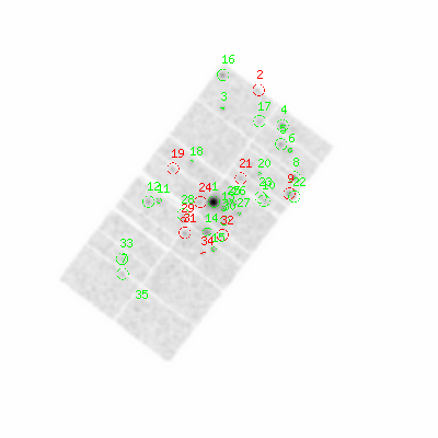 pn smooth0hcl image