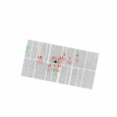 pn smooth0hcl image