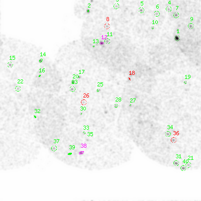 mos2 smooth0 image