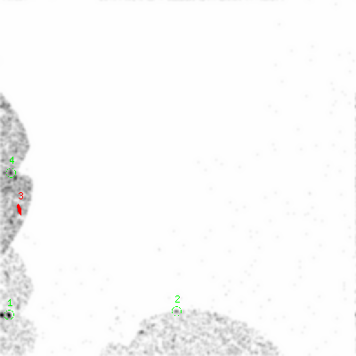 mos2 smooth0hcl image