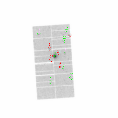 pn smooth0hcl image