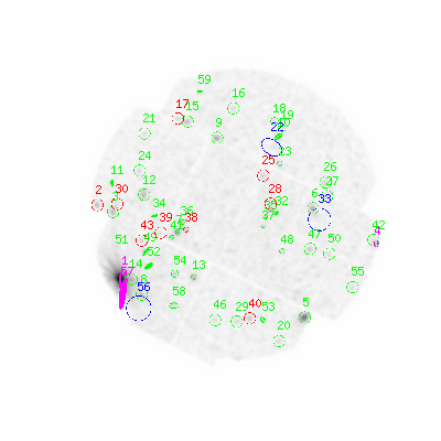 mos2 smooth0cl image