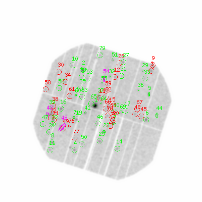 pn smooth0hcl image