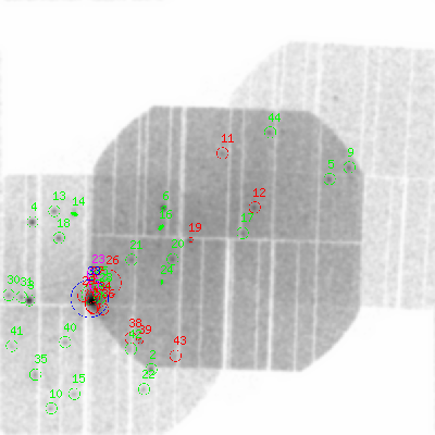 pn smooth0hcl image